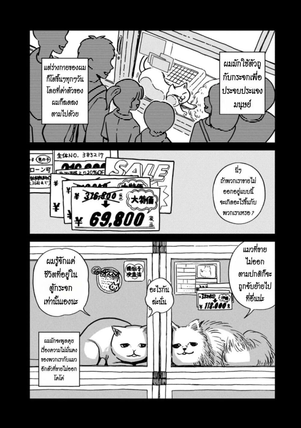 Manga-lc-com อ่านมังงะ อ่านการ์ตูน ออนไลน์ ฟรี Tsureneko – Maruru to Hachi ตอนที่ 1 2 3 4 5 6 7 8 9 10 11 12 13 14 ฟรี ไม่มีโฆษณา Manga-lc - อ่าน มังงะ อ่าน การ์ตูน ออนไลน์ อ่านมังงะ ฟรี
