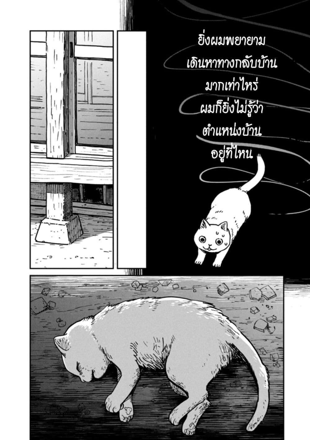 Manga-lc-com อ่านมังงะ อ่านการ์ตูน ออนไลน์ ฟรี Tsureneko – Maruru to Hachi ตอนที่ 1 2 3 4 5 6 7 8 9 10 11 12 13 14 ฟรี ไม่มีโฆษณา Manga-lc - อ่าน มังงะ อ่าน การ์ตูน ออนไลน์ อ่านมังงะ ฟรี
