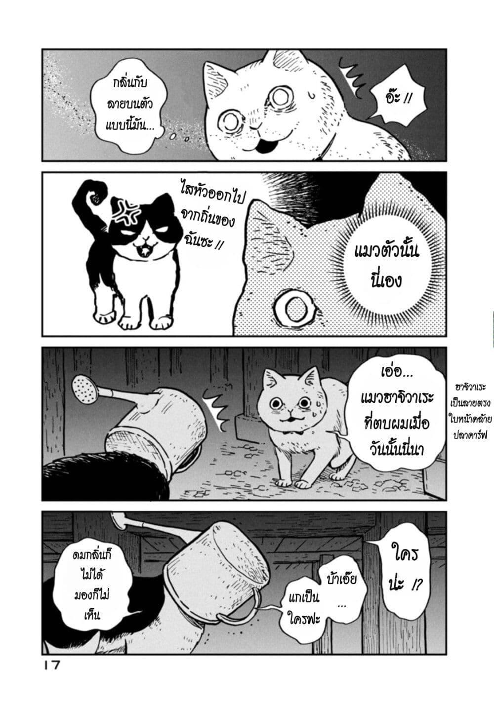 Manga-lc-com อ่านมังงะ อ่านการ์ตูน ออนไลน์ ฟรี Tsureneko – Maruru to Hachi ตอนที่ 1 2 3 4 5 6 7 8 9 10 11 12 13 14 ฟรี ไม่มีโฆษณา Manga-lc - อ่าน มังงะ อ่าน การ์ตูน ออนไลน์ อ่านมังงะ ฟรี