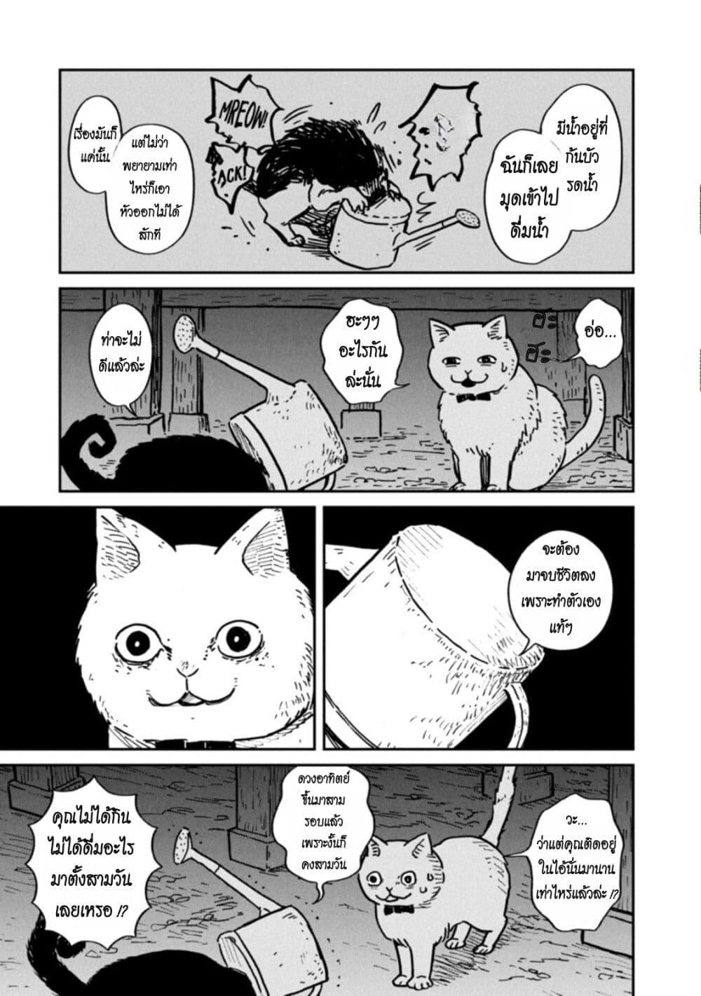 Manga-lc-com อ่านมังงะ อ่านการ์ตูน ออนไลน์ ฟรี Tsureneko – Maruru to Hachi ตอนที่ 1 2 3 4 5 6 7 8 9 10 11 12 13 14 ฟรี ไม่มีโฆษณา Manga-lc - อ่าน มังงะ อ่าน การ์ตูน ออนไลน์ อ่านมังงะ ฟรี