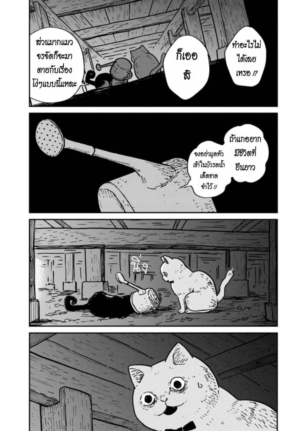 Manga-lc-com อ่านมังงะ อ่านการ์ตูน ออนไลน์ ฟรี Tsureneko – Maruru to Hachi ตอนที่ 1 2 3 4 5 6 7 8 9 10 11 12 13 14 ฟรี ไม่มีโฆษณา Manga-lc - อ่าน มังงะ อ่าน การ์ตูน ออนไลน์ อ่านมังงะ ฟรี