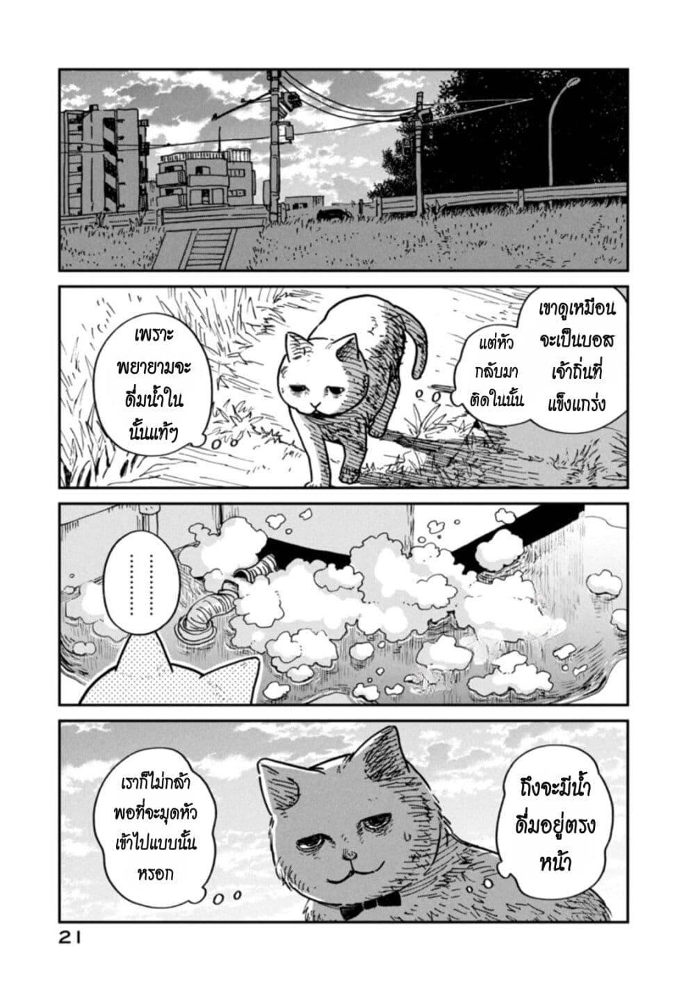 Manga-lc-com อ่านมังงะ อ่านการ์ตูน ออนไลน์ ฟรี Tsureneko – Maruru to Hachi ตอนที่ 1 2 3 4 5 6 7 8 9 10 11 12 13 14 ฟรี ไม่มีโฆษณา Manga-lc - อ่าน มังงะ อ่าน การ์ตูน ออนไลน์ อ่านมังงะ ฟรี