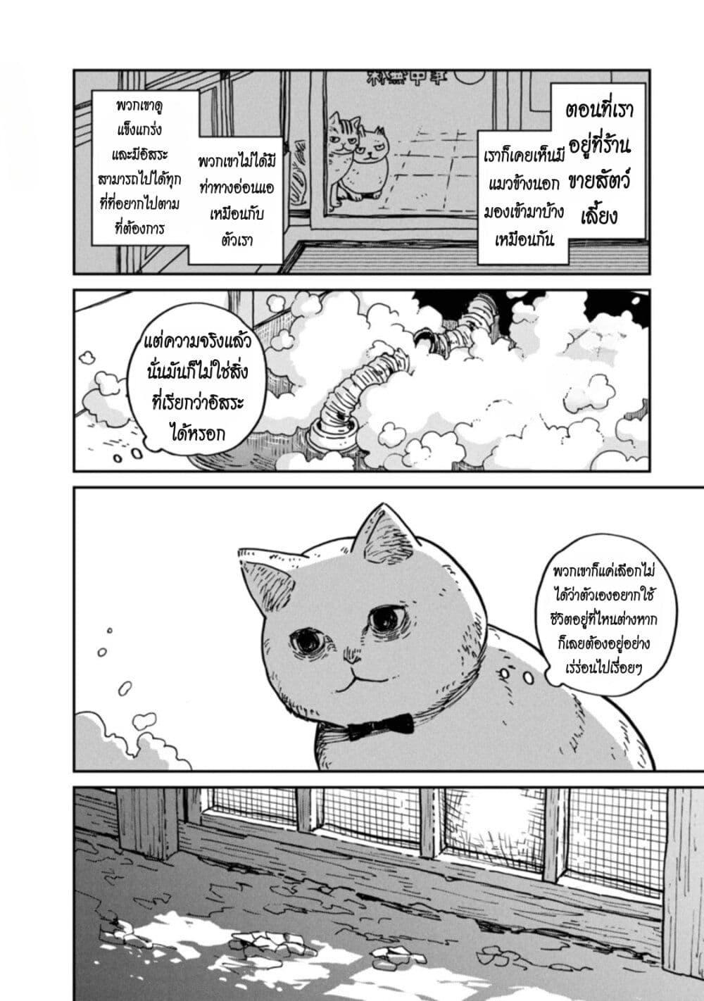 Manga-lc-com อ่านมังงะ อ่านการ์ตูน ออนไลน์ ฟรี Tsureneko – Maruru to Hachi ตอนที่ 1 2 3 4 5 6 7 8 9 10 11 12 13 14 ฟรี ไม่มีโฆษณา Manga-lc - อ่าน มังงะ อ่าน การ์ตูน ออนไลน์ อ่านมังงะ ฟรี