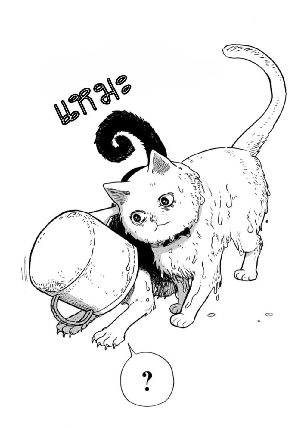 Manga-lc-com อ่านมังงะ อ่านการ์ตูน ออนไลน์ ฟรี Tsureneko – Maruru to Hachi ตอนที่ 1 2 3 4 5 6 7 8 9 10 11 12 13 14 ฟรี ไม่มีโฆษณา Manga-lc - อ่าน มังงะ อ่าน การ์ตูน ออนไลน์ อ่านมังงะ ฟรี
