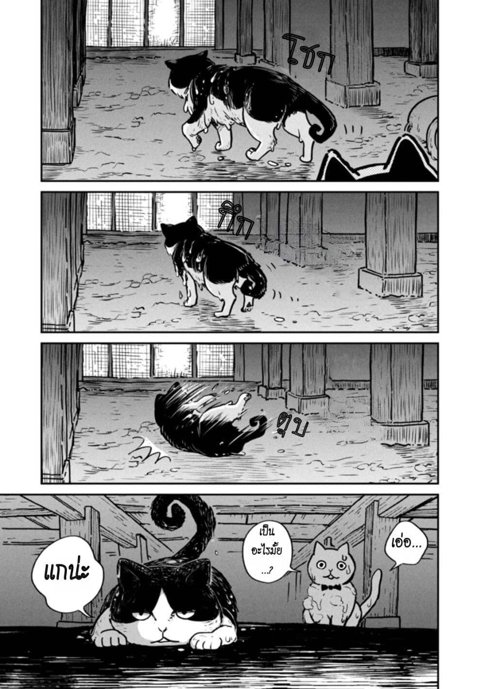Manga-lc-com อ่านมังงะ อ่านการ์ตูน ออนไลน์ ฟรี Tsureneko – Maruru to Hachi ตอนที่ 1 2 3 4 5 6 7 8 9 10 11 12 13 14 ฟรี ไม่มีโฆษณา Manga-lc - อ่าน มังงะ อ่าน การ์ตูน ออนไลน์ อ่านมังงะ ฟรี