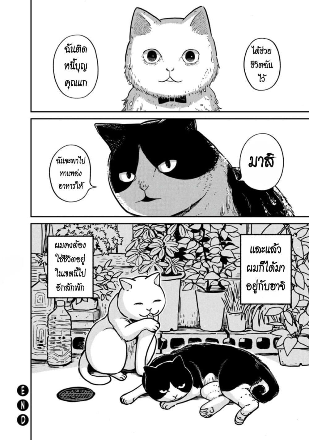 Manga-lc-com อ่านมังงะ อ่านการ์ตูน ออนไลน์ ฟรี Tsureneko – Maruru to Hachi ตอนที่ 1 2 3 4 5 6 7 8 9 10 11 12 13 14 ฟรี ไม่มีโฆษณา Manga-lc - อ่าน มังงะ อ่าน การ์ตูน ออนไลน์ อ่านมังงะ ฟรี