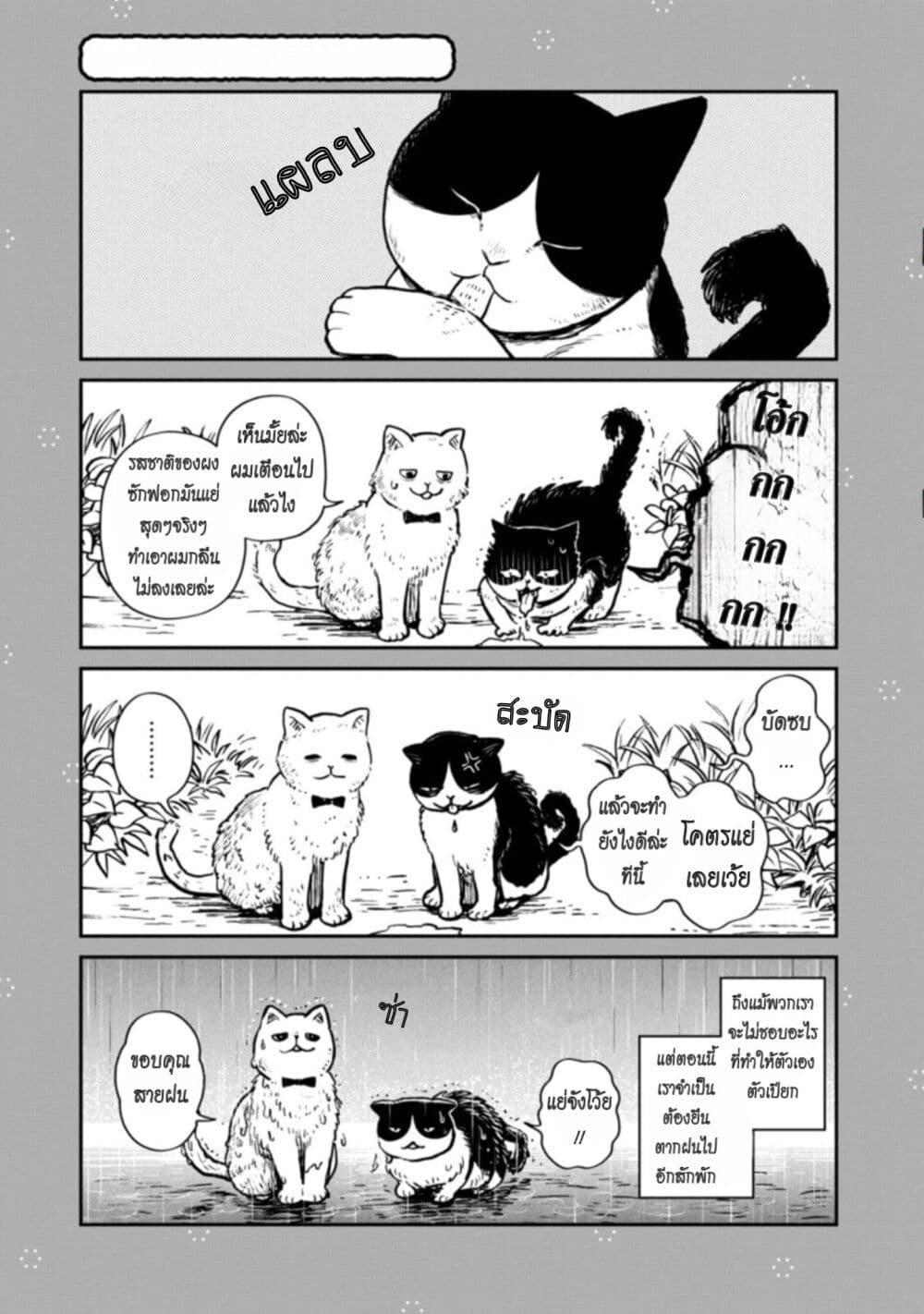 Manga-lc-com อ่านมังงะ อ่านการ์ตูน ออนไลน์ ฟรี Tsureneko – Maruru to Hachi ตอนที่ 1 2 3 4 5 6 7 8 9 10 11 12 13 14 ฟรี ไม่มีโฆษณา Manga-lc - อ่าน มังงะ อ่าน การ์ตูน ออนไลน์ อ่านมังงะ ฟรี