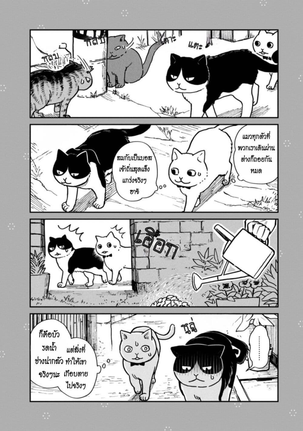 Manga-lc-com อ่านมังงะ อ่านการ์ตูน ออนไลน์ ฟรี Tsureneko – Maruru to Hachi ตอนที่ 1 2 3 4 5 6 7 8 9 10 11 12 13 14 ฟรี ไม่มีโฆษณา Manga-lc - อ่าน มังงะ อ่าน การ์ตูน ออนไลน์ อ่านมังงะ ฟรี