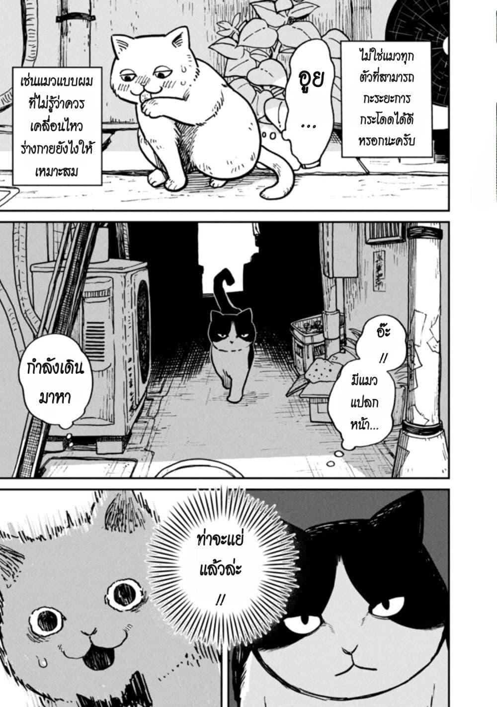 Manga-lc-com อ่านมังงะ อ่านการ์ตูน ออนไลน์ ฟรี Tsureneko – Maruru to Hachi ตอนที่ 1 2 3 4 5 6 7 8 9 10 11 12 13 14 ฟรี ไม่มีโฆษณา Manga-lc - อ่าน มังงะ อ่าน การ์ตูน ออนไลน์ อ่านมังงะ ฟรี
