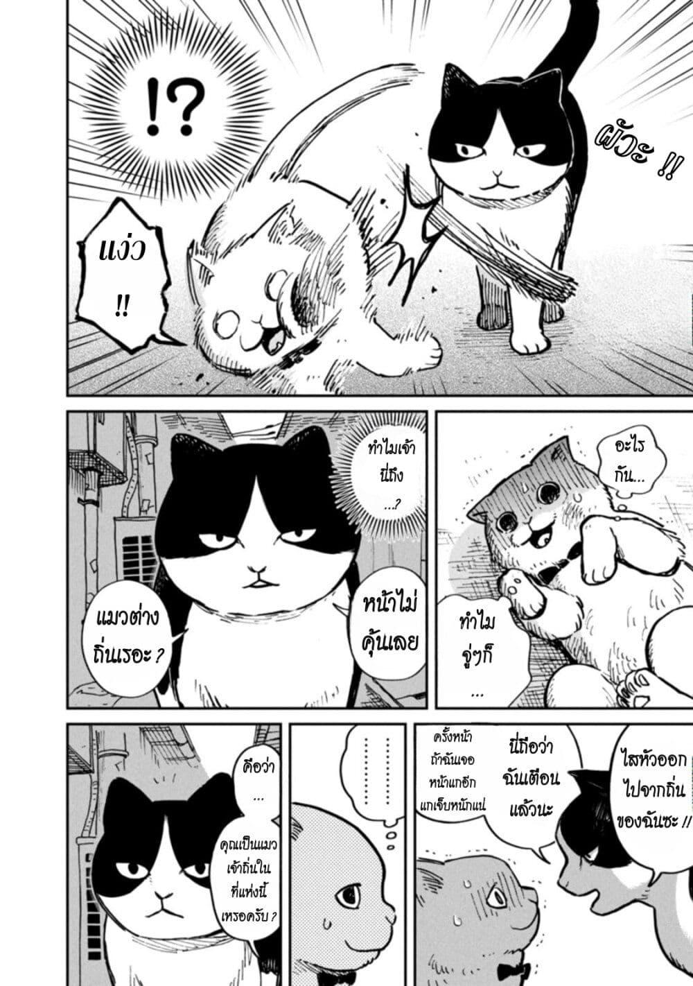 Manga-lc-com อ่านมังงะ อ่านการ์ตูน ออนไลน์ ฟรี Tsureneko – Maruru to Hachi ตอนที่ 1 2 3 4 5 6 7 8 9 10 11 12 13 14 ฟรี ไม่มีโฆษณา Manga-lc - อ่าน มังงะ อ่าน การ์ตูน ออนไลน์ อ่านมังงะ ฟรี