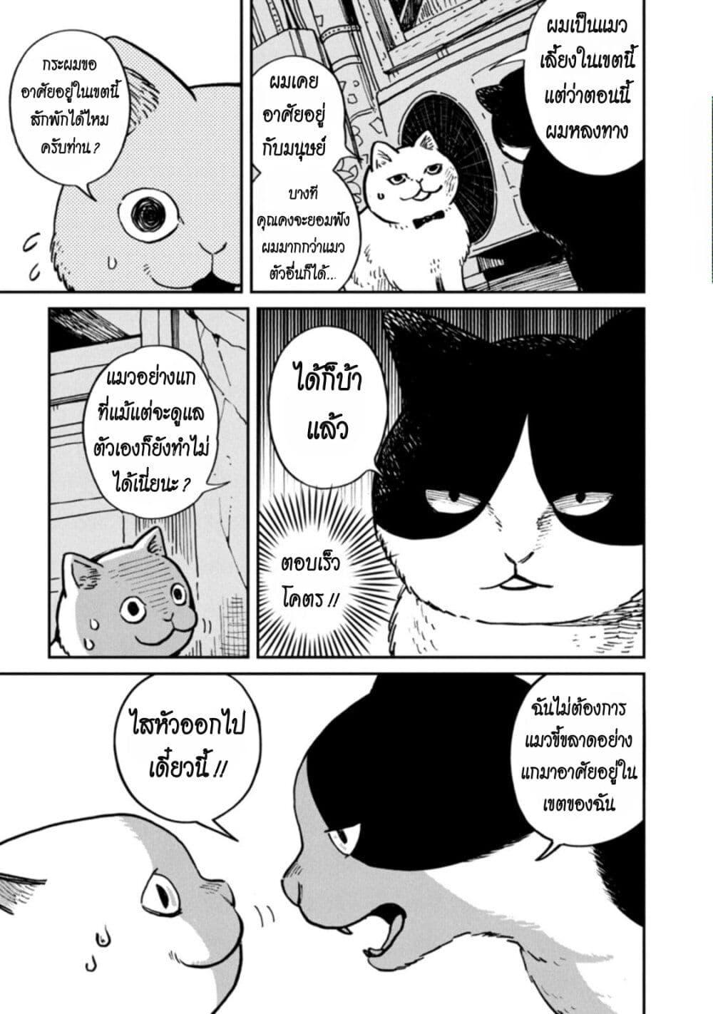 Manga-lc-com อ่านมังงะ อ่านการ์ตูน ออนไลน์ ฟรี Tsureneko – Maruru to Hachi ตอนที่ 1 2 3 4 5 6 7 8 9 10 11 12 13 14 ฟรี ไม่มีโฆษณา Manga-lc - อ่าน มังงะ อ่าน การ์ตูน ออนไลน์ อ่านมังงะ ฟรี