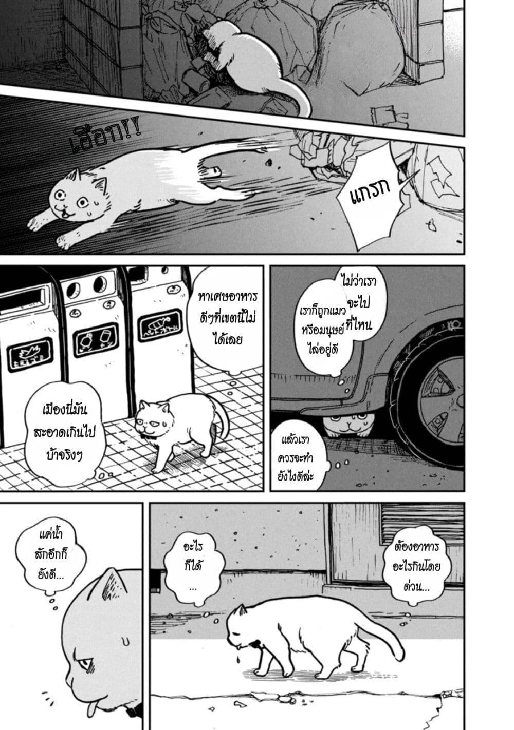 Manga-lc-com อ่านมังงะ อ่านการ์ตูน ออนไลน์ ฟรี Tsureneko – Maruru to Hachi ตอนที่ 1 2 3 4 5 6 7 8 9 10 11 12 13 14 ฟรี ไม่มีโฆษณา Manga-lc - อ่าน มังงะ อ่าน การ์ตูน ออนไลน์ อ่านมังงะ ฟรี