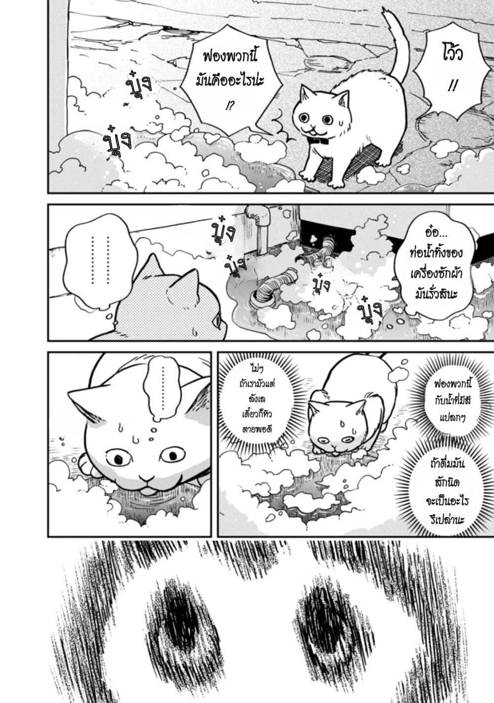 Manga-lc-com อ่านมังงะ อ่านการ์ตูน ออนไลน์ ฟรี Tsureneko – Maruru to Hachi ตอนที่ 1 2 3 4 5 6 7 8 9 10 11 12 13 14 ฟรี ไม่มีโฆษณา Manga-lc - อ่าน มังงะ อ่าน การ์ตูน ออนไลน์ อ่านมังงะ ฟรี