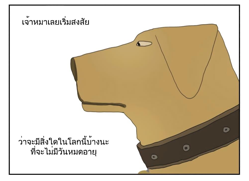 Manga-lc-com อ่านมังงะ อ่านการ์ตูน ออนไลน์ ฟรี Nan Hao & Shang Feng ตอนที่ 1 2 3 4 5 6 7 8 9 10 11 12 13 14 ฟรี ไม่มีโฆษณา Manga-lc - อ่าน มังงะ อ่าน การ์ตูน ออนไลน์ อ่านมังงะ ฟรี