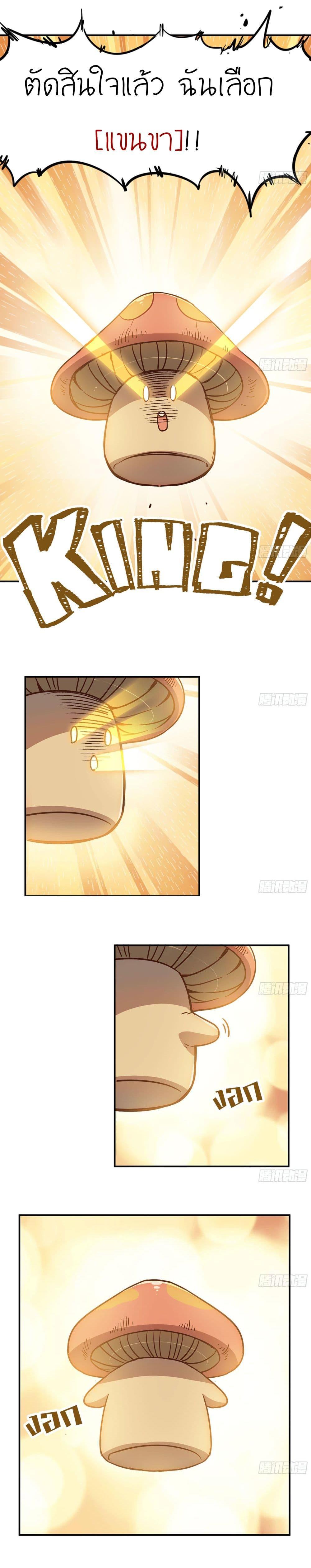 Manga-lc-com อ่านมังงะ อ่านการ์ตูน ออนไลน์ ฟรี Mushroom Brave ตอนที่ 1 2 3 4 5 6 7 8 9 10 11 12 13 14 ฟรี ไม่มีโฆษณา Manga-lc - อ่าน มังงะ อ่าน การ์ตูน ออนไลน์ อ่านมังงะ ฟรี