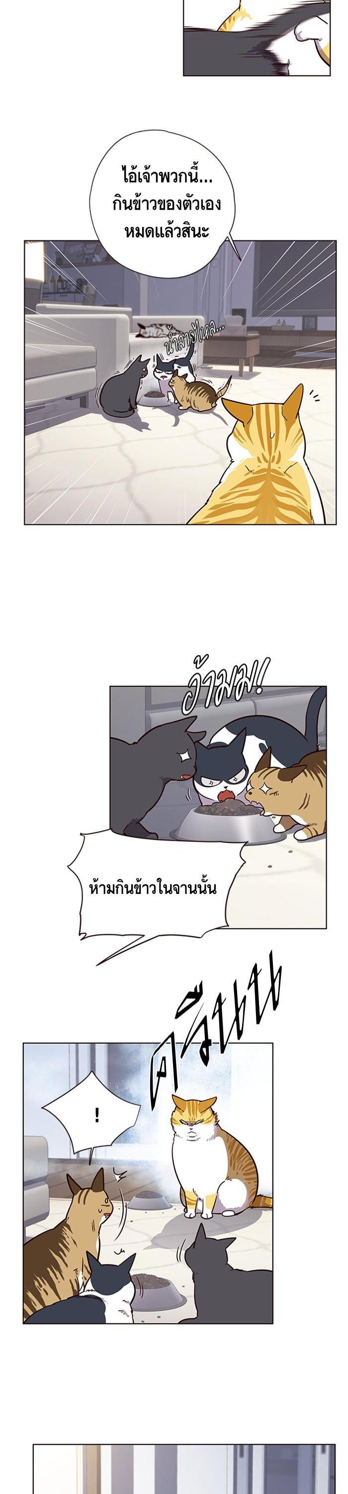 Manga-lc-com อ่านมังงะ อ่านการ์ตูน ออนไลน์ ฟรี Eleceed ตอนที่ 1 2 3 4 5 6 7 8 9 10 11 12 13 14 ฟรี ไม่มีโฆษณา Manga-lc - อ่าน มังงะ อ่าน การ์ตูน ออนไลน์ อ่านมังงะ ฟรี