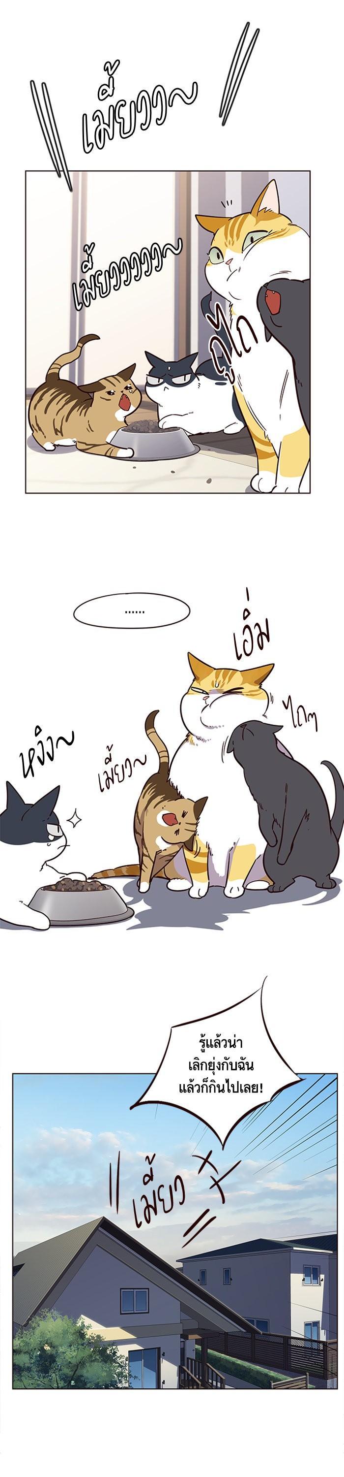 Manga-lc-com อ่านมังงะ อ่านการ์ตูน ออนไลน์ ฟรี Eleceed ตอนที่ 1 2 3 4 5 6 7 8 9 10 11 12 13 14 ฟรี ไม่มีโฆษณา Manga-lc - อ่าน มังงะ อ่าน การ์ตูน ออนไลน์ อ่านมังงะ ฟรี