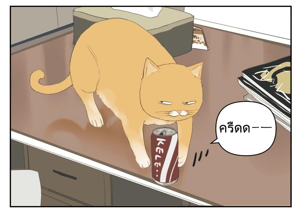 Manga-lc-com อ่านมังงะ อ่านการ์ตูน ออนไลน์ ฟรี Nan Hao & Shang Feng ตอนที่ 1 2 3 4 5 6 7 8 9 10 11 12 13 14 ฟรี ไม่มีโฆษณา Manga-lc - อ่าน มังงะ อ่าน การ์ตูน ออนไลน์ อ่านมังงะ ฟรี