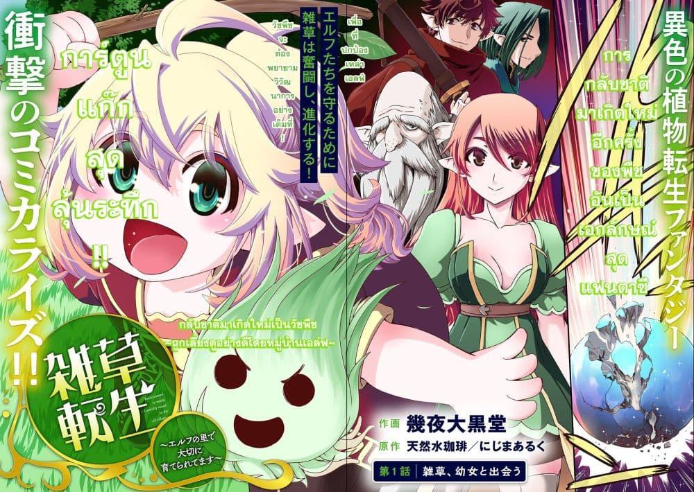 Manga-lc-com อ่านมังงะ อ่านการ์ตูน ออนไลน์ ฟรี Weed Reincarnation ~ Carefully Raised In The Elf Village ~ ตอนที่ 1 2 3 4 5 6 7 8 9 10 11 12 13 14 ฟรี ไม่มีโฆษณา Manga-lc - อ่าน มังงะ อ่าน การ์ตูน ออนไลน์ อ่านมังงะ ฟรี