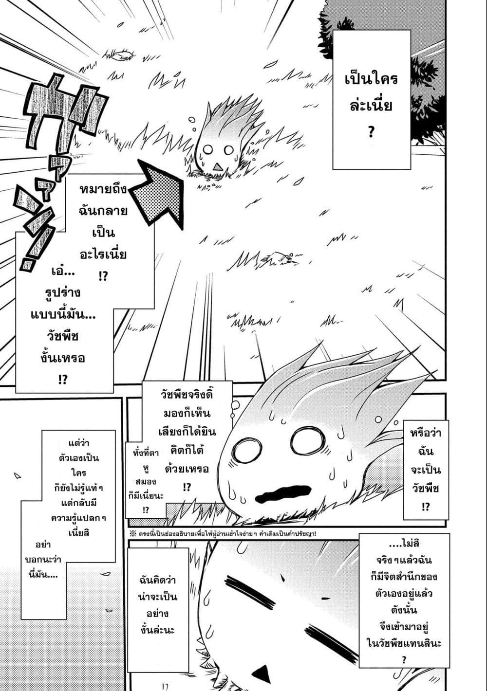 Manga-lc-com อ่านมังงะ อ่านการ์ตูน ออนไลน์ ฟรี Weed Reincarnation ~ Carefully Raised In The Elf Village ~ ตอนที่ 1 2 3 4 5 6 7 8 9 10 11 12 13 14 ฟรี ไม่มีโฆษณา Manga-lc - อ่าน มังงะ อ่าน การ์ตูน ออนไลน์ อ่านมังงะ ฟรี