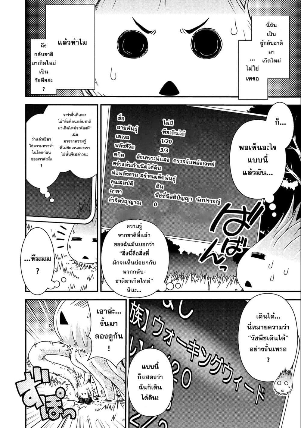 Manga-lc-com อ่านมังงะ อ่านการ์ตูน ออนไลน์ ฟรี Weed Reincarnation ~ Carefully Raised In The Elf Village ~ ตอนที่ 1 2 3 4 5 6 7 8 9 10 11 12 13 14 ฟรี ไม่มีโฆษณา Manga-lc - อ่าน มังงะ อ่าน การ์ตูน ออนไลน์ อ่านมังงะ ฟรี