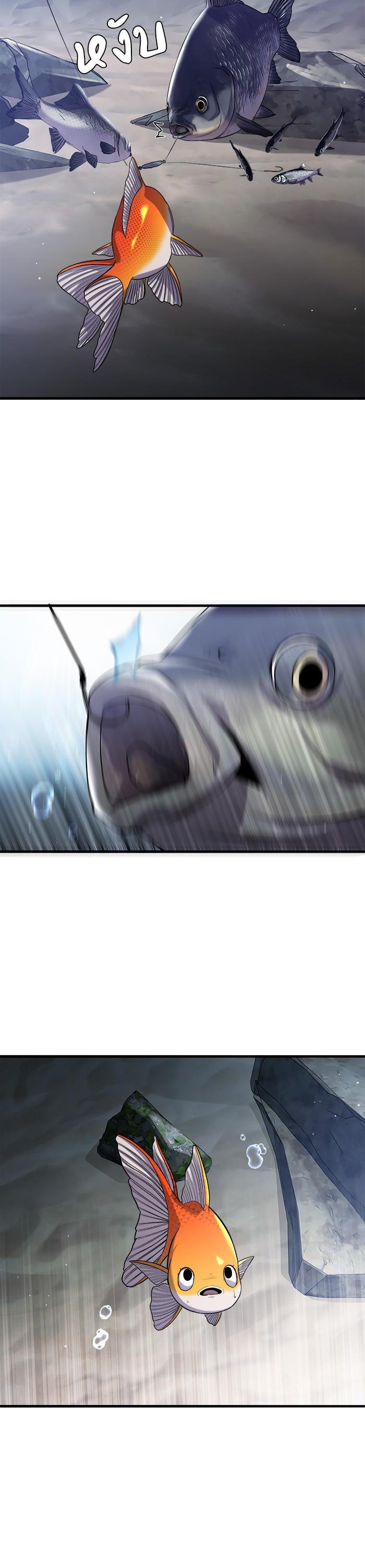 Manga-lc-com อ่านมังงะ อ่านการ์ตูน ออนไลน์ ฟรี Surviving As a Fish ตอนที่ 1 2 3 4 5 6 7 8 9 10 11 12 13 14 ฟรี ไม่มีโฆษณา Manga-lc - อ่าน มังงะ อ่าน การ์ตูน ออนไลน์ อ่านมังงะ ฟรี