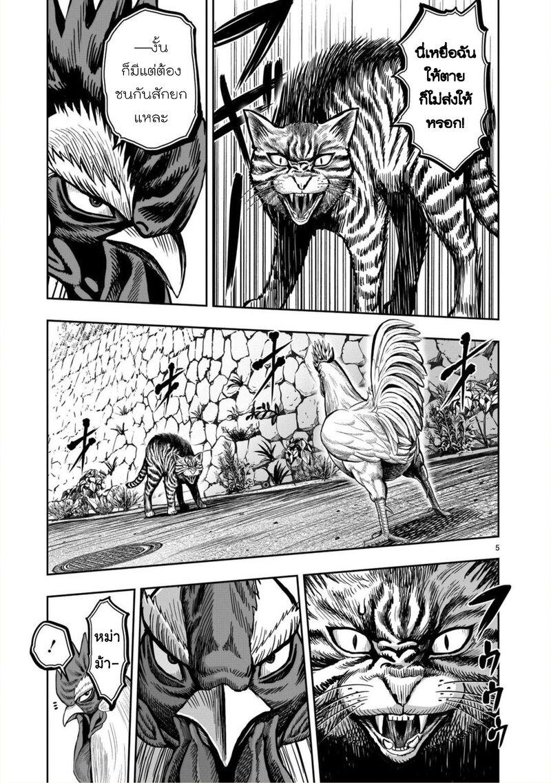 Manga-lc-com อ่านมังงะ อ่านการ์ตูน ออนไลน์ ฟรี Rooster Fighter ตอนที่ 1 2 3 4 5 6 7 8 9 10 11 12 13 14 ฟรี ไม่มีโฆษณา Manga-lc - อ่าน มังงะ อ่าน การ์ตูน ออนไลน์ อ่านมังงะ ฟรี