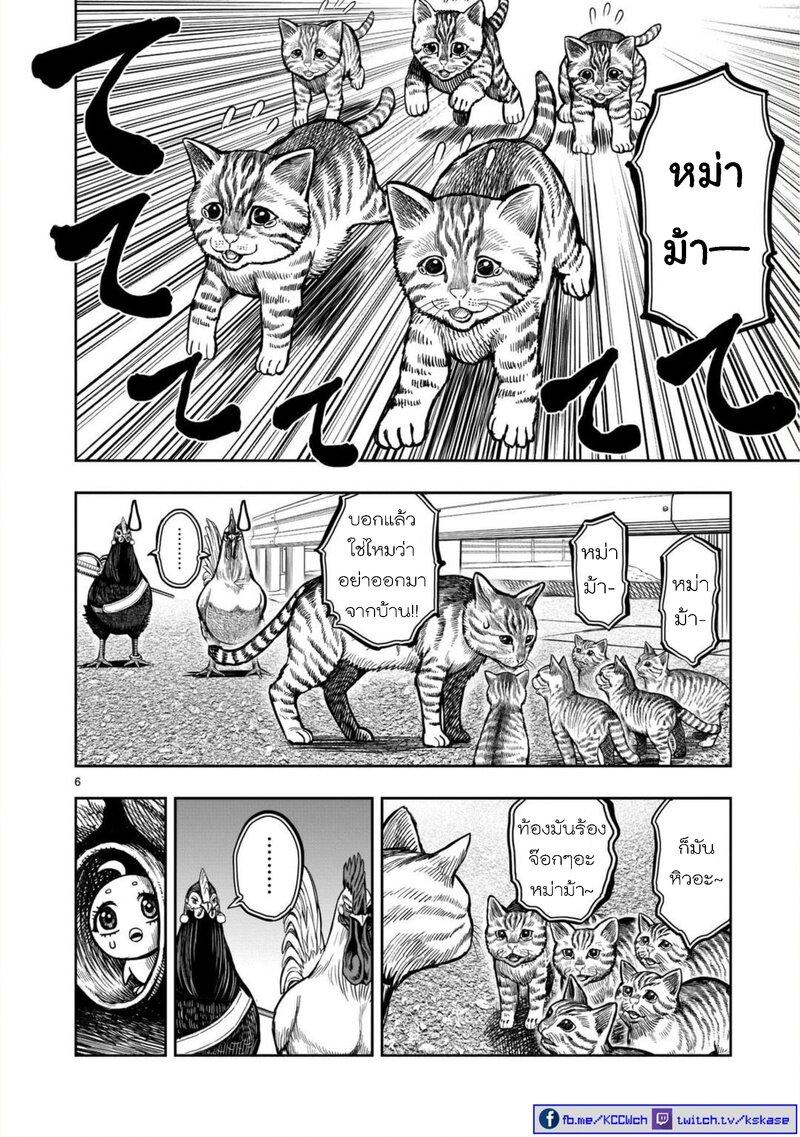 Manga-lc-com อ่านมังงะ อ่านการ์ตูน ออนไลน์ ฟรี Rooster Fighter ตอนที่ 1 2 3 4 5 6 7 8 9 10 11 12 13 14 ฟรี ไม่มีโฆษณา Manga-lc - อ่าน มังงะ อ่าน การ์ตูน ออนไลน์ อ่านมังงะ ฟรี