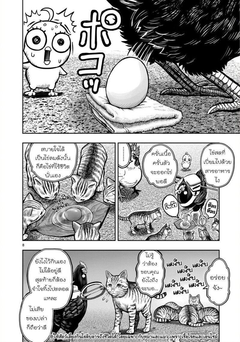 Manga-lc-com อ่านมังงะ อ่านการ์ตูน ออนไลน์ ฟรี Rooster Fighter ตอนที่ 1 2 3 4 5 6 7 8 9 10 11 12 13 14 ฟรี ไม่มีโฆษณา Manga-lc - อ่าน มังงะ อ่าน การ์ตูน ออนไลน์ อ่านมังงะ ฟรี