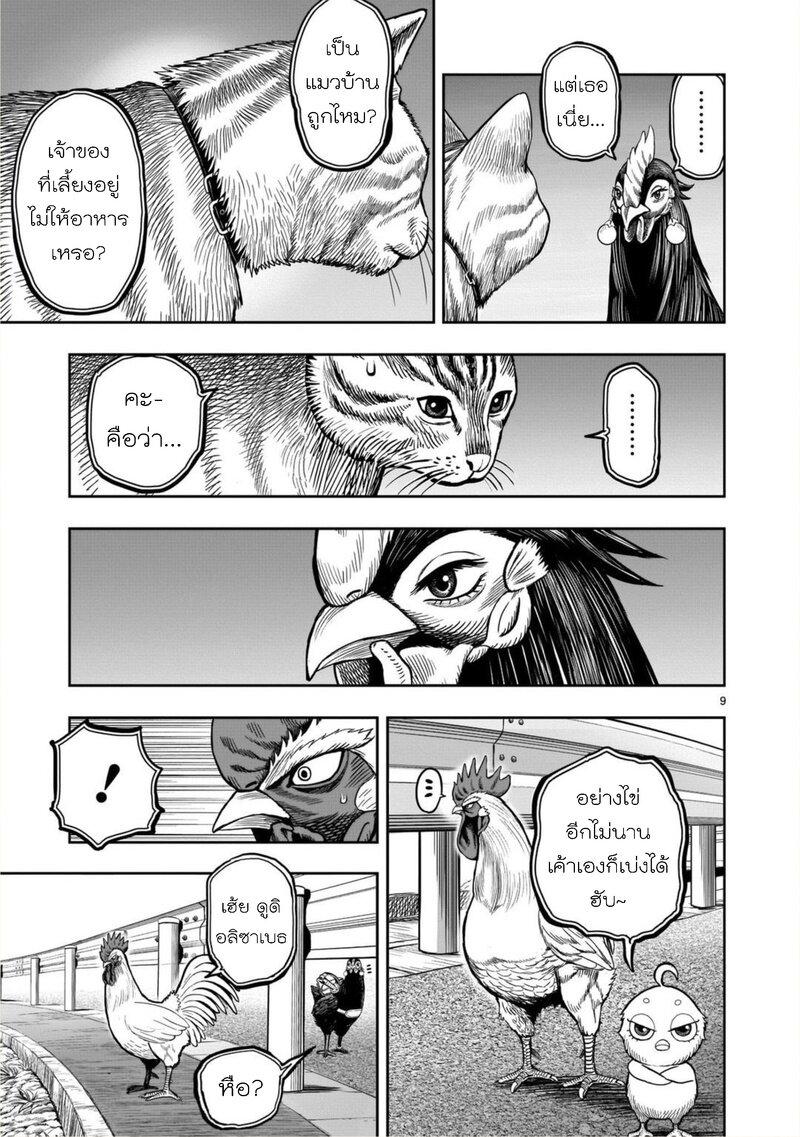 Manga-lc-com อ่านมังงะ อ่านการ์ตูน ออนไลน์ ฟรี Rooster Fighter ตอนที่ 1 2 3 4 5 6 7 8 9 10 11 12 13 14 ฟรี ไม่มีโฆษณา Manga-lc - อ่าน มังงะ อ่าน การ์ตูน ออนไลน์ อ่านมังงะ ฟรี