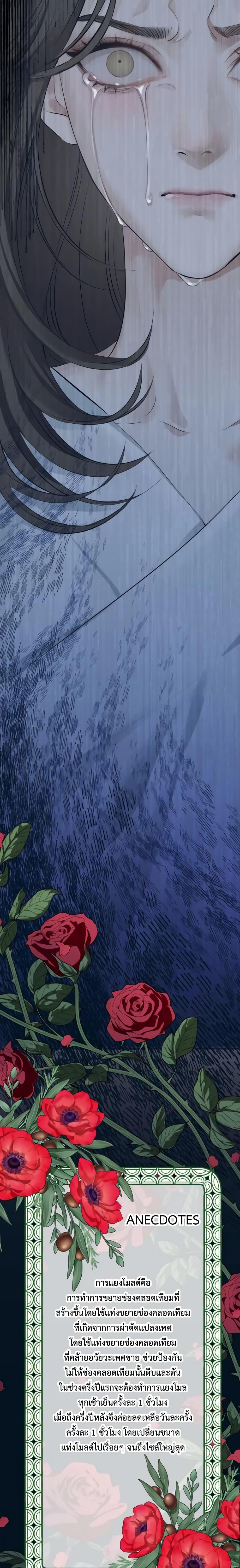 Manga-lc-com อ่านมังงะ อ่านการ์ตูน ออนไลน์ ฟรี Love Shadow ตอนที่ 1 2 3 4 5 6 7 8 9 10 11 12 13 14 ฟรี ไม่มีโฆษณา Manga-lc - อ่าน มังงะ อ่าน การ์ตูน ออนไลน์ อ่านมังงะ ฟรี