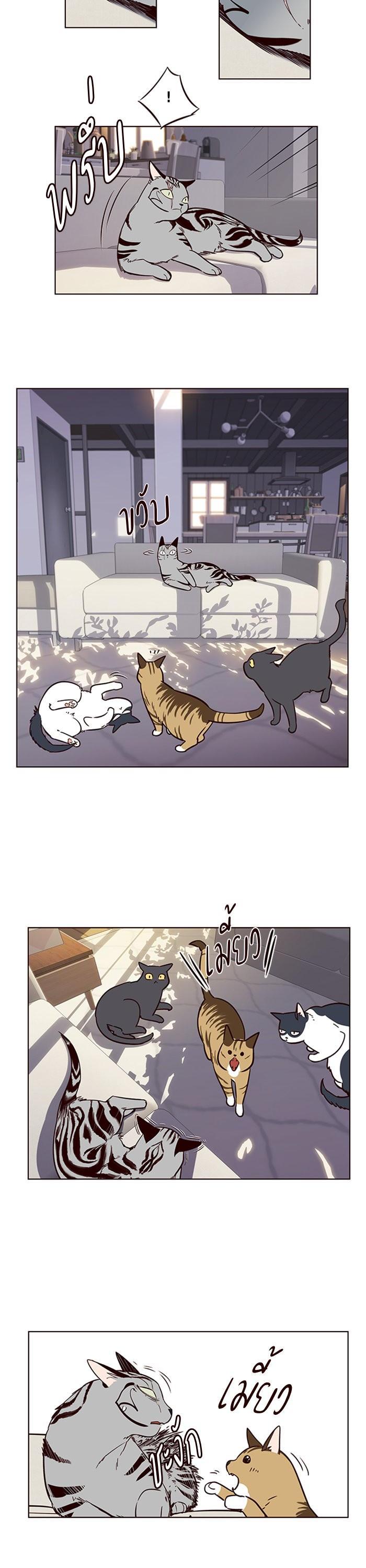 Manga-lc-com อ่านมังงะ อ่านการ์ตูน ออนไลน์ ฟรี Eleceed ตอนที่ 1 2 3 4 5 6 7 8 9 10 11 12 13 14 ฟรี ไม่มีโฆษณา Manga-lc - อ่าน มังงะ อ่าน การ์ตูน ออนไลน์ อ่านมังงะ ฟรี