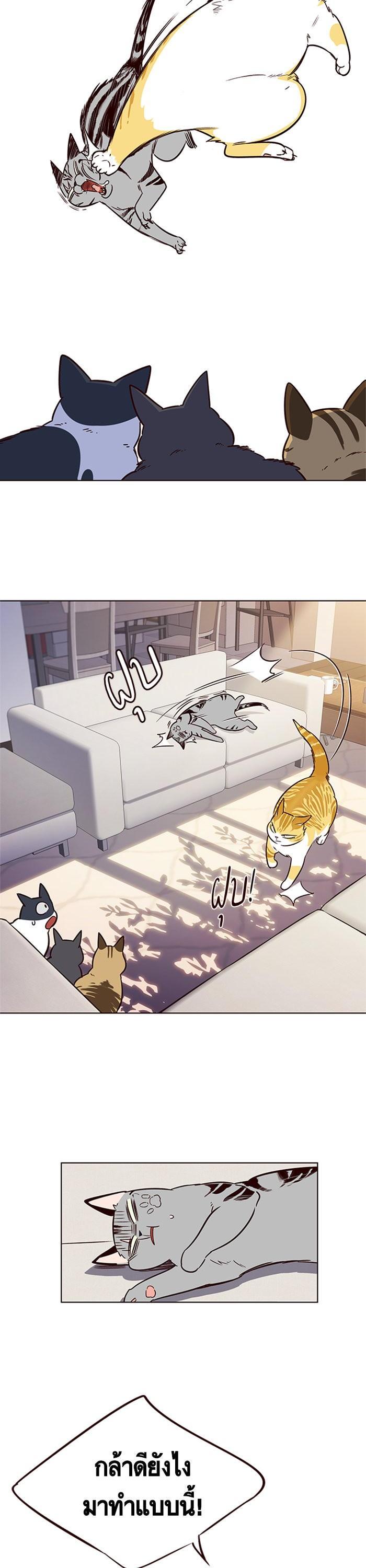 Manga-lc-com อ่านมังงะ อ่านการ์ตูน ออนไลน์ ฟรี Eleceed ตอนที่ 1 2 3 4 5 6 7 8 9 10 11 12 13 14 ฟรี ไม่มีโฆษณา Manga-lc - อ่าน มังงะ อ่าน การ์ตูน ออนไลน์ อ่านมังงะ ฟรี