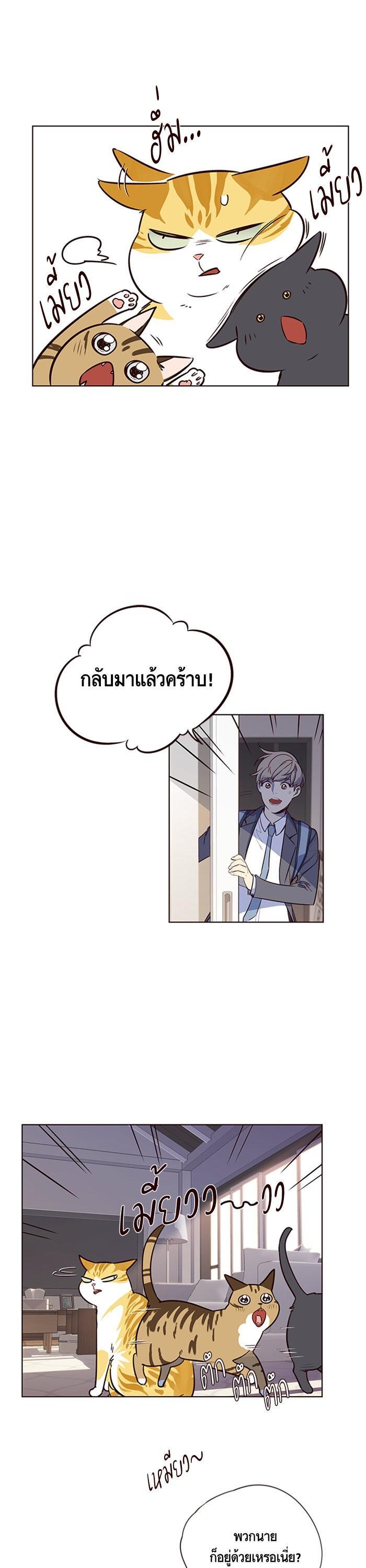 Manga-lc-com อ่านมังงะ อ่านการ์ตูน ออนไลน์ ฟรี Eleceed ตอนที่ 1 2 3 4 5 6 7 8 9 10 11 12 13 14 ฟรี ไม่มีโฆษณา Manga-lc - อ่าน มังงะ อ่าน การ์ตูน ออนไลน์ อ่านมังงะ ฟรี