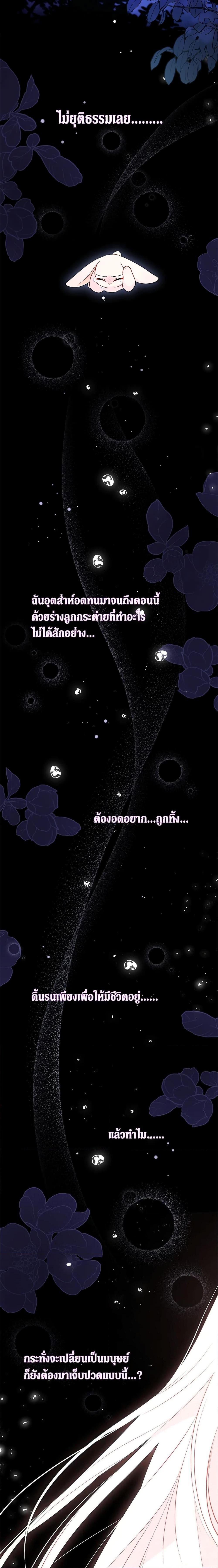 Manga-lc-com อ่านมังงะ อ่านการ์ตูน ออนไลน์ ฟรี The Symbiotic Relationship Between a Panther and a Rabbit ตอนที่ 1 2 3 4 5 6 7 8 9 10 11 12 13 14 ฟรี ไม่มีโฆษณา Manga-lc - อ่าน มังงะ อ่าน การ์ตูน ออนไลน์ อ่านมังงะ ฟรี