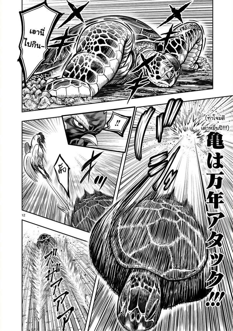 Manga-lc-com อ่านมังงะ อ่านการ์ตูน ออนไลน์ ฟรี Rooster Fighter ตอนที่ 1 2 3 4 5 6 7 8 9 10 11 12 13 14 ฟรี ไม่มีโฆษณา Manga-lc - อ่าน มังงะ อ่าน การ์ตูน ออนไลน์ อ่านมังงะ ฟรี