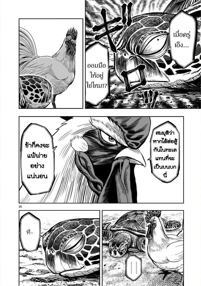 Manga-lc-com อ่านมังงะ อ่านการ์ตูน ออนไลน์ ฟรี Rooster Fighter ตอนที่ 1 2 3 4 5 6 7 8 9 10 11 12 13 14 ฟรี ไม่มีโฆษณา Manga-lc - อ่าน มังงะ อ่าน การ์ตูน ออนไลน์ อ่านมังงะ ฟรี