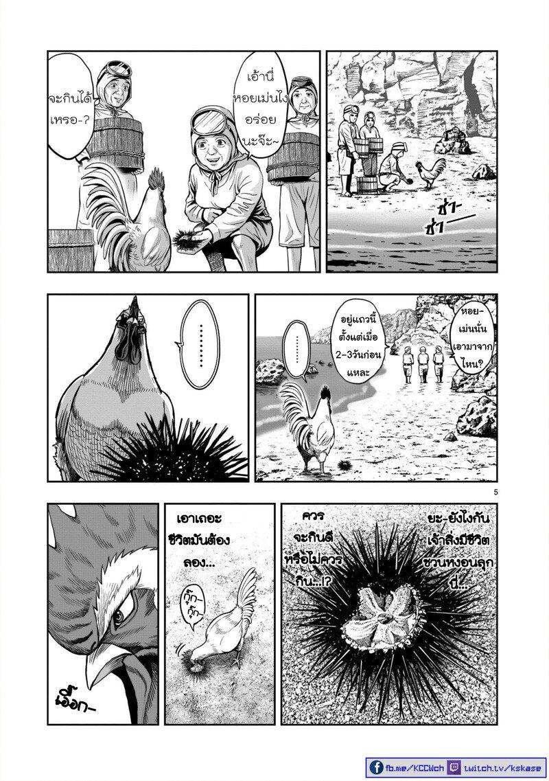 Manga-lc-com อ่านมังงะ อ่านการ์ตูน ออนไลน์ ฟรี Rooster Fighter ตอนที่ 1 2 3 4 5 6 7 8 9 10 11 12 13 14 ฟรี ไม่มีโฆษณา Manga-lc - อ่าน มังงะ อ่าน การ์ตูน ออนไลน์ อ่านมังงะ ฟรี