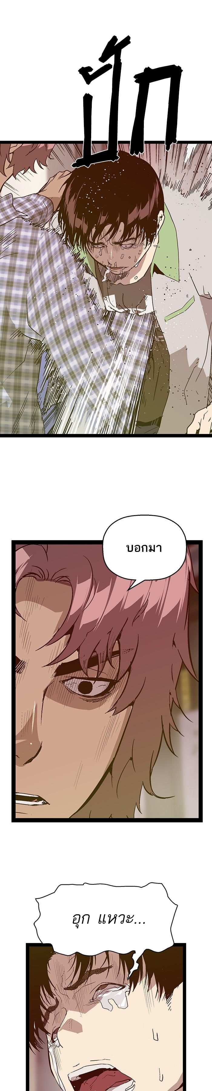 Manga-lc-com อ่านมังงะ อ่านการ์ตูน ออนไลน์ ฟรี Weak Hero ตอนที่ 1 2 3 4 5 6 7 8 9 10 11 12 13 14 ฟรี ไม่มีโฆษณา Manga-lc - อ่าน มังงะ อ่าน การ์ตูน ออนไลน์ อ่านมังงะ ฟรี