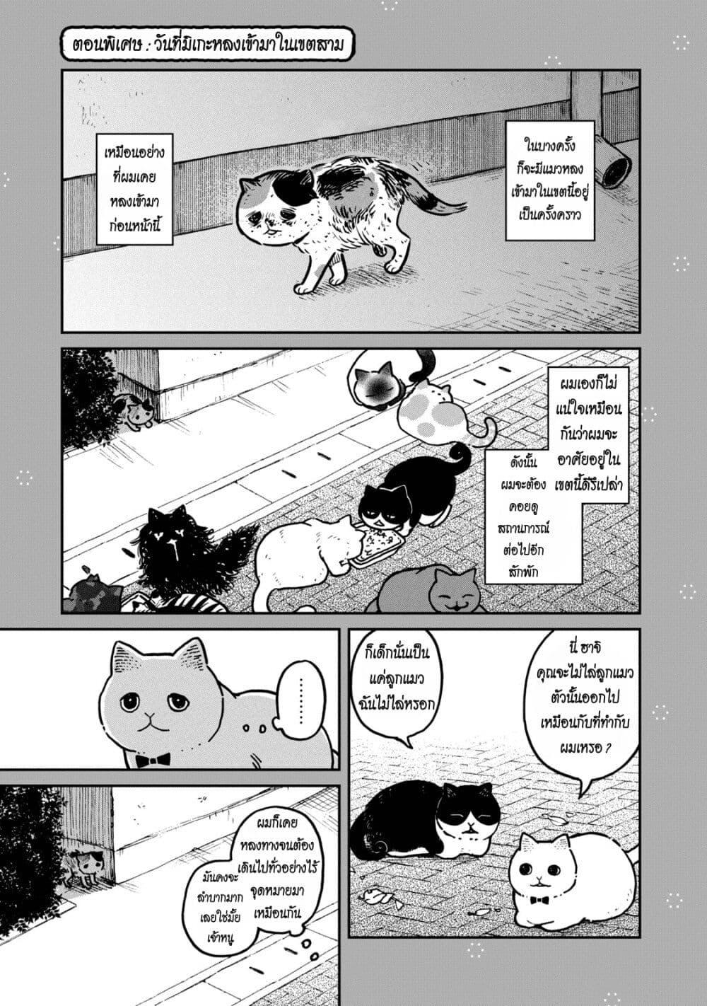 Manga-lc-com อ่านมังงะ อ่านการ์ตูน ออนไลน์ ฟรี Tsureneko – Maruru to Hachi ตอนที่ 1 2 3 4 5 6 7 8 9 10 11 12 13 14 ฟรี ไม่มีโฆษณา Manga-lc - อ่าน มังงะ อ่าน การ์ตูน ออนไลน์ อ่านมังงะ ฟรี