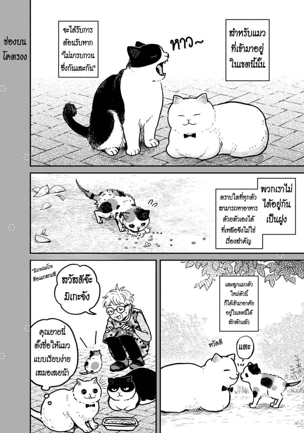 Manga-lc-com อ่านมังงะ อ่านการ์ตูน ออนไลน์ ฟรี Tsureneko – Maruru to Hachi ตอนที่ 1 2 3 4 5 6 7 8 9 10 11 12 13 14 ฟรี ไม่มีโฆษณา Manga-lc - อ่าน มังงะ อ่าน การ์ตูน ออนไลน์ อ่านมังงะ ฟรี