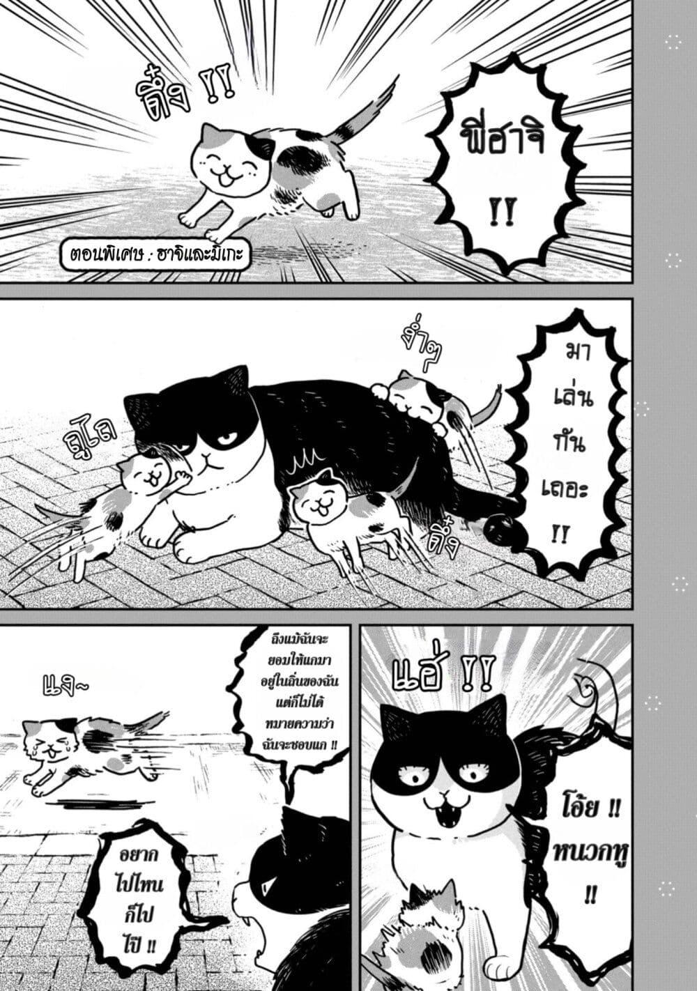Manga-lc-com อ่านมังงะ อ่านการ์ตูน ออนไลน์ ฟรี Tsureneko – Maruru to Hachi ตอนที่ 1 2 3 4 5 6 7 8 9 10 11 12 13 14 ฟรี ไม่มีโฆษณา Manga-lc - อ่าน มังงะ อ่าน การ์ตูน ออนไลน์ อ่านมังงะ ฟรี
