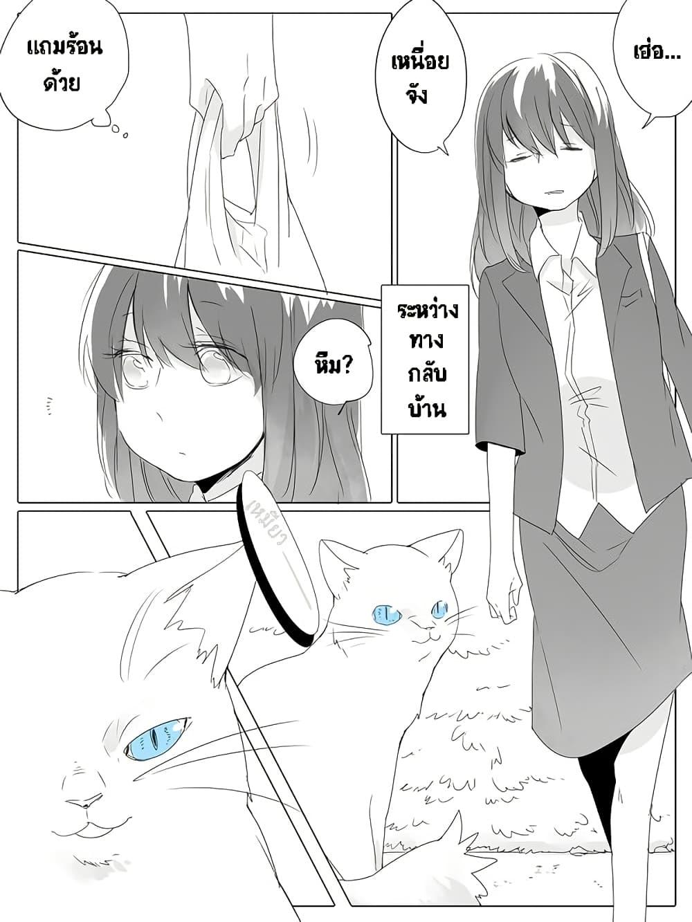 Manga-lc-com อ่านมังงะ อ่านการ์ตูน ออนไลน์ ฟรี Tsungire Neko no Nora-san ตอนที่ 1 2 3 4 5 6 7 8 9 10 11 12 13 14 ฟรี ไม่มีโฆษณา Manga-lc - อ่าน มังงะ อ่าน การ์ตูน ออนไลน์ อ่านมังงะ ฟรี
