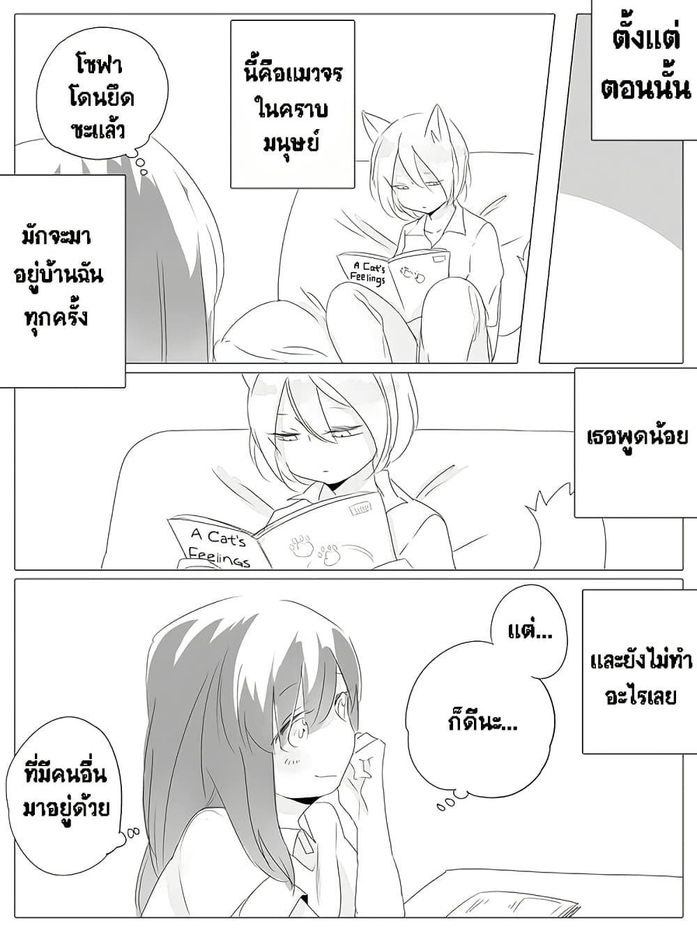 Manga-lc-com อ่านมังงะ อ่านการ์ตูน ออนไลน์ ฟรี Tsungire Neko no Nora-san ตอนที่ 1 2 3 4 5 6 7 8 9 10 11 12 13 14 ฟรี ไม่มีโฆษณา Manga-lc - อ่าน มังงะ อ่าน การ์ตูน ออนไลน์ อ่านมังงะ ฟรี
