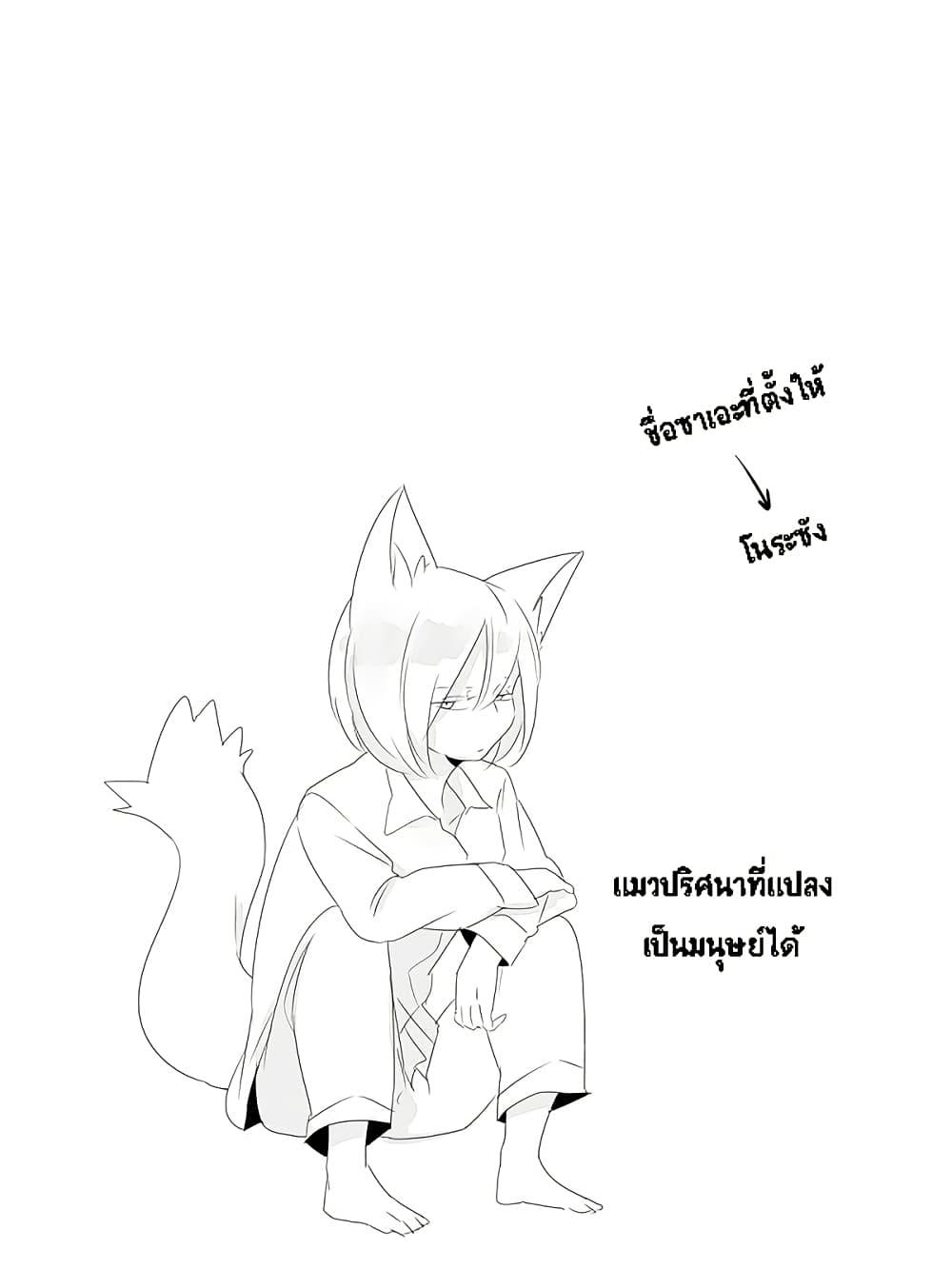 Manga-lc-com อ่านมังงะ อ่านการ์ตูน ออนไลน์ ฟรี Tsungire Neko no Nora-san ตอนที่ 1 2 3 4 5 6 7 8 9 10 11 12 13 14 ฟรี ไม่มีโฆษณา Manga-lc - อ่าน มังงะ อ่าน การ์ตูน ออนไลน์ อ่านมังงะ ฟรี