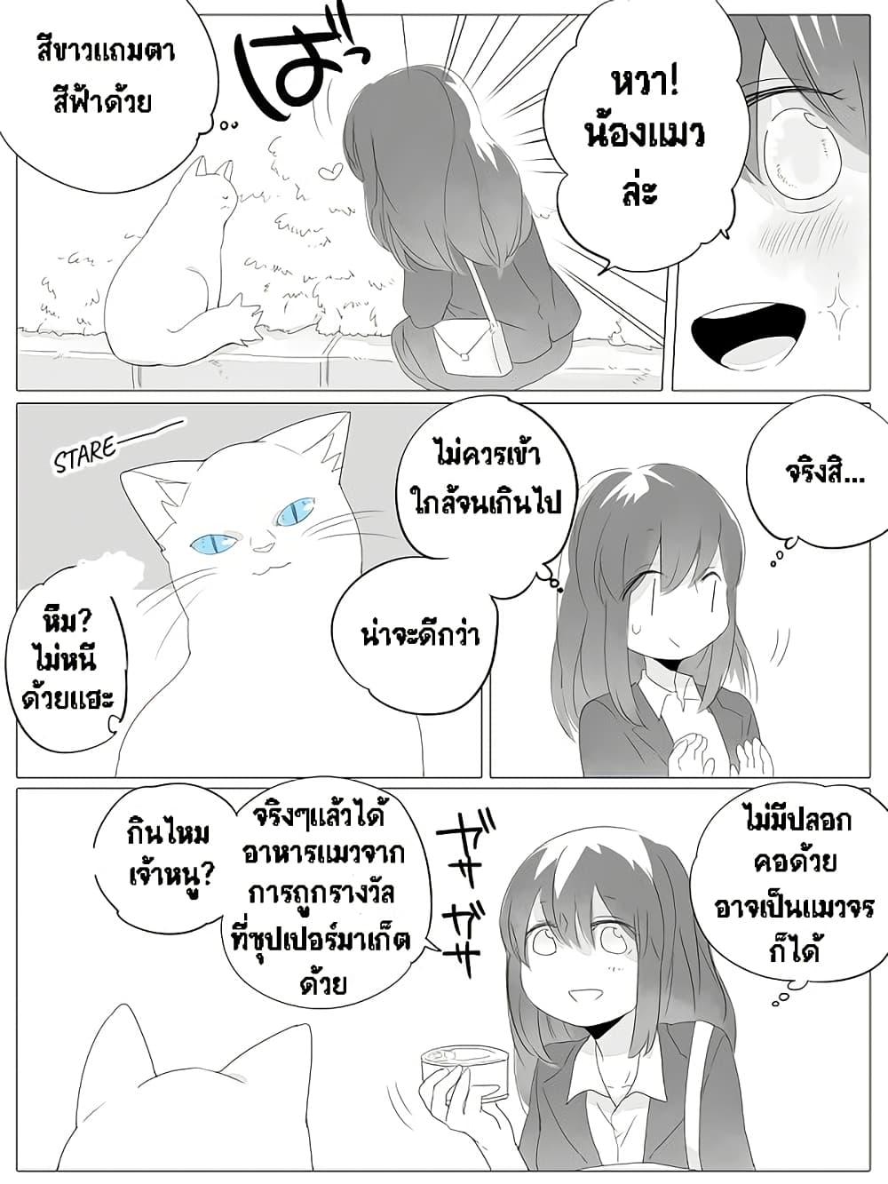 Manga-lc-com อ่านมังงะ อ่านการ์ตูน ออนไลน์ ฟรี Tsungire Neko no Nora-san ตอนที่ 1 2 3 4 5 6 7 8 9 10 11 12 13 14 ฟรี ไม่มีโฆษณา Manga-lc - อ่าน มังงะ อ่าน การ์ตูน ออนไลน์ อ่านมังงะ ฟรี