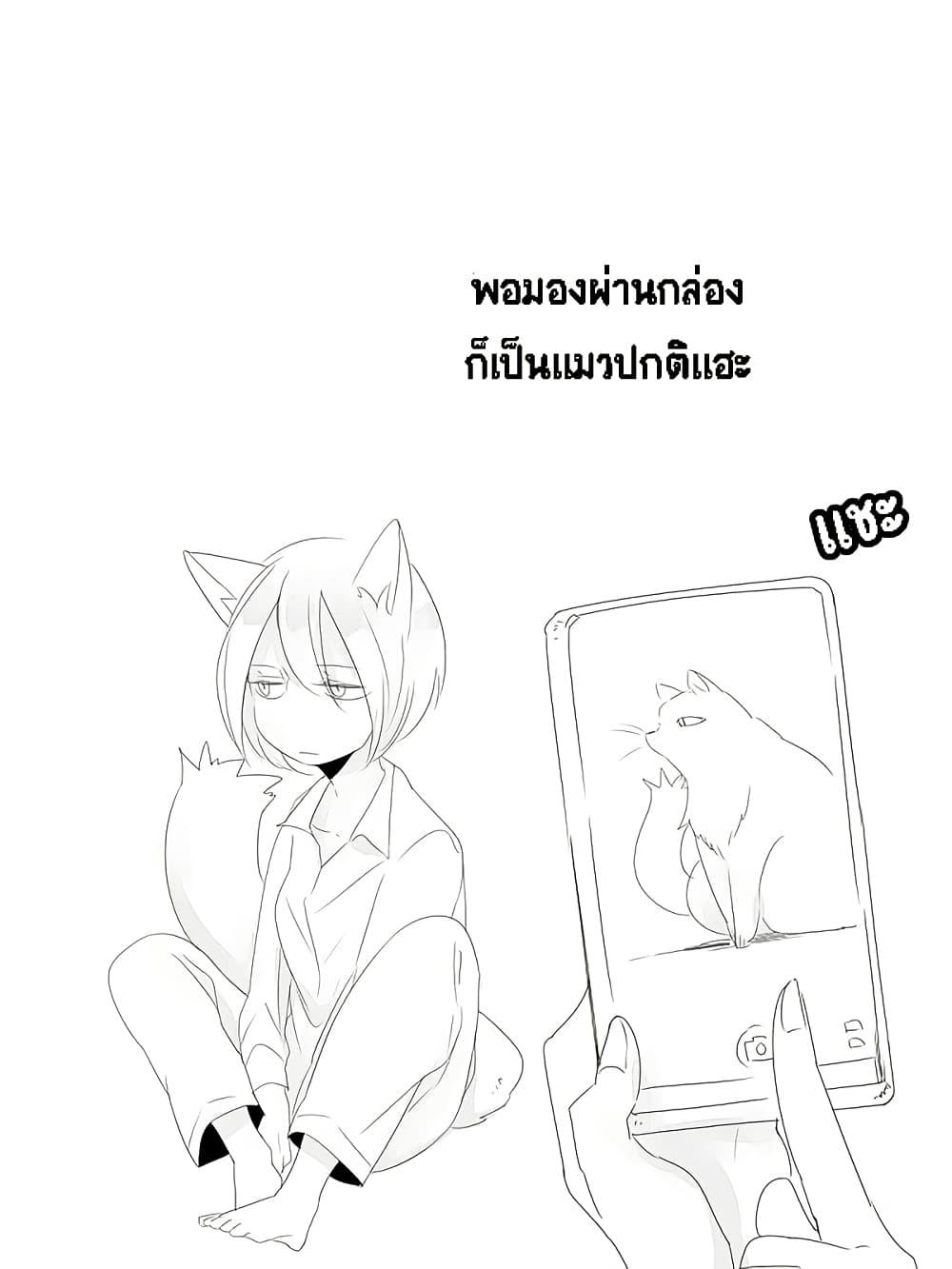 Manga-lc-com อ่านมังงะ อ่านการ์ตูน ออนไลน์ ฟรี Tsungire Neko no Nora-san ตอนที่ 1 2 3 4 5 6 7 8 9 10 11 12 13 14 ฟรี ไม่มีโฆษณา Manga-lc - อ่าน มังงะ อ่าน การ์ตูน ออนไลน์ อ่านมังงะ ฟรี