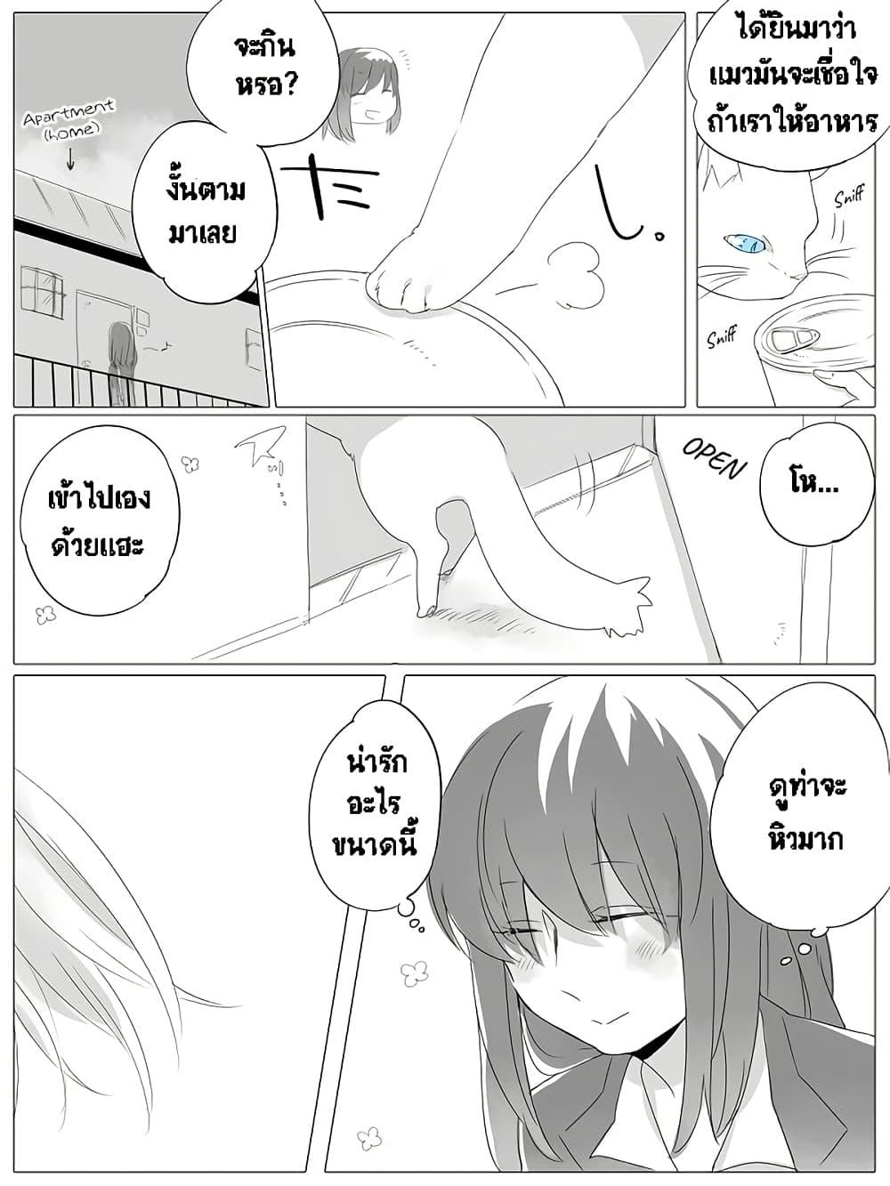 Manga-lc-com อ่านมังงะ อ่านการ์ตูน ออนไลน์ ฟรี Tsungire Neko no Nora-san ตอนที่ 1 2 3 4 5 6 7 8 9 10 11 12 13 14 ฟรี ไม่มีโฆษณา Manga-lc - อ่าน มังงะ อ่าน การ์ตูน ออนไลน์ อ่านมังงะ ฟรี