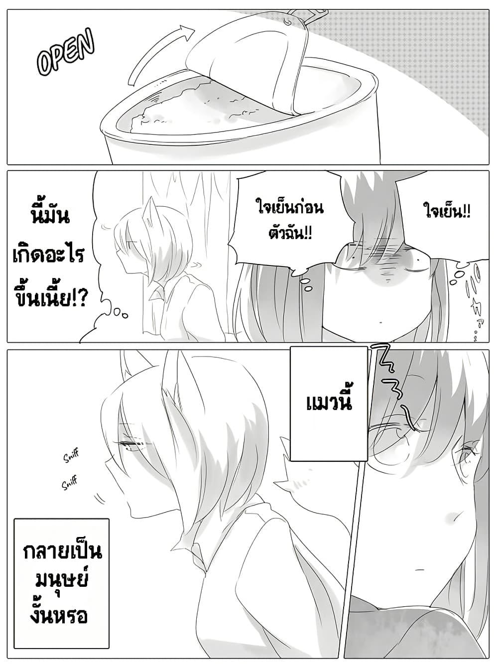 Manga-lc-com อ่านมังงะ อ่านการ์ตูน ออนไลน์ ฟรี Tsungire Neko no Nora-san ตอนที่ 1 2 3 4 5 6 7 8 9 10 11 12 13 14 ฟรี ไม่มีโฆษณา Manga-lc - อ่าน มังงะ อ่าน การ์ตูน ออนไลน์ อ่านมังงะ ฟรี