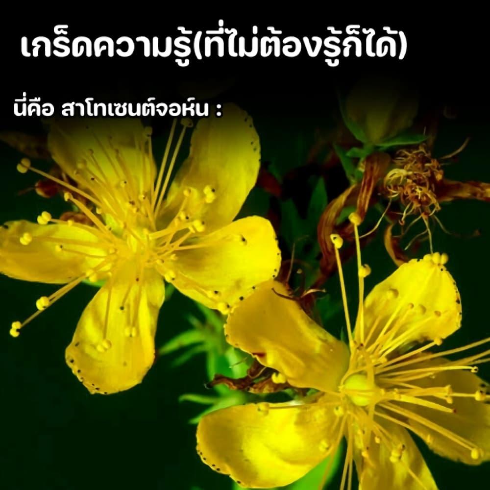 Manga-lc-com อ่านมังงะ อ่านการ์ตูน ออนไลน์ ฟรี Midori no Mahou to Kaori no Tsukaite ตอนที่ 1 2 3 4 5 6 7 8 9 10 11 12 13 14 ฟรี ไม่มีโฆษณา Manga-lc - อ่าน มังงะ อ่าน การ์ตูน ออนไลน์ อ่านมังงะ ฟรี